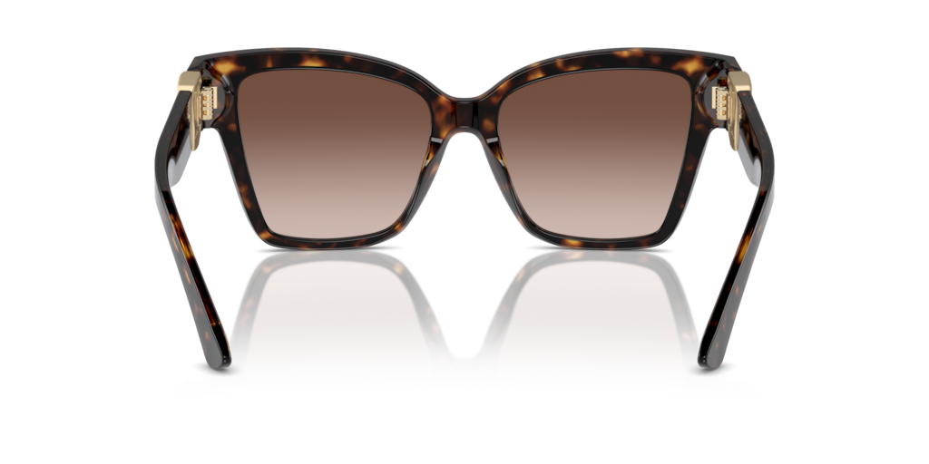 Dolce & Gabbana DG4470 502/13