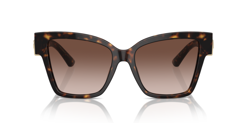 Dolce & Gabbana DG4470 502/13