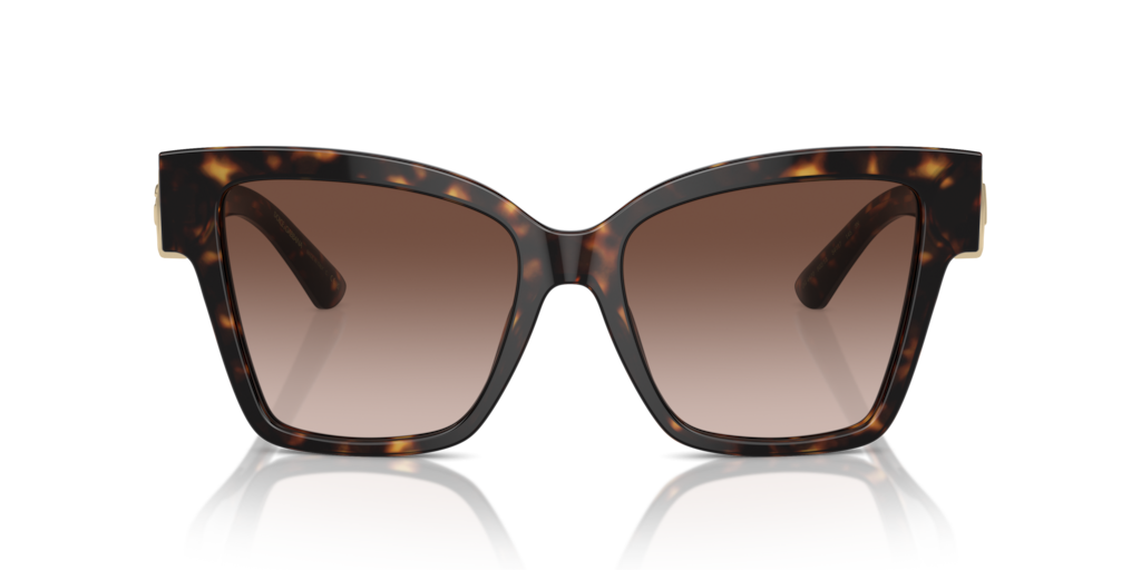 Dolce & Gabbana DG4470 502/13