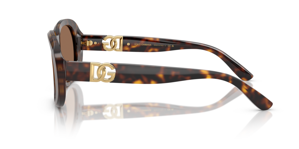 Dolce & Gabbana DG4476 502/73