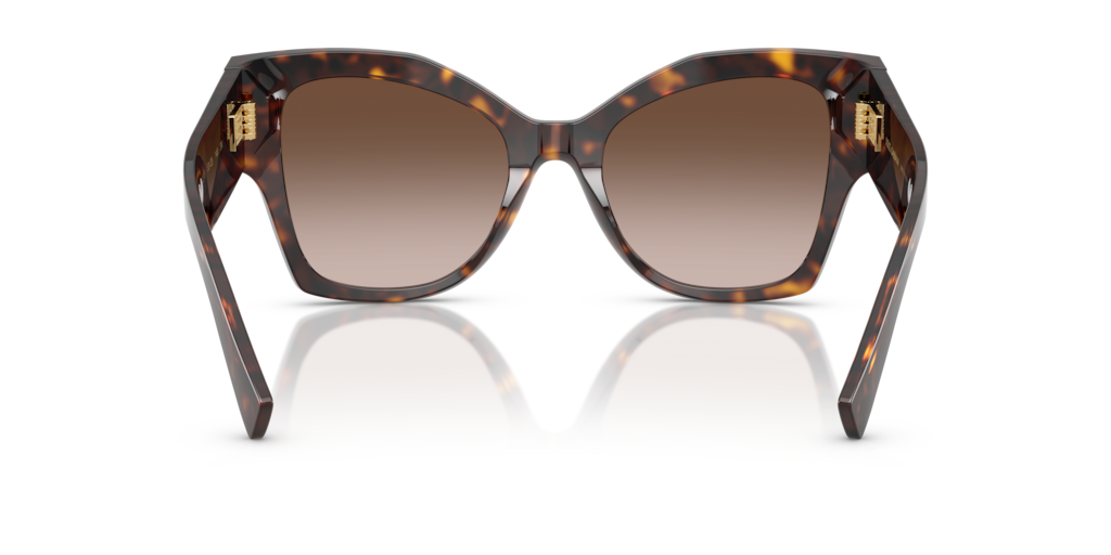 Dolce & Gabbana DG4478 502/13