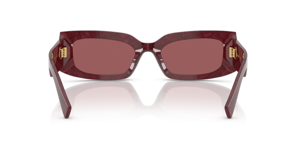 Dolce & Gabbana DG4479 3442D0