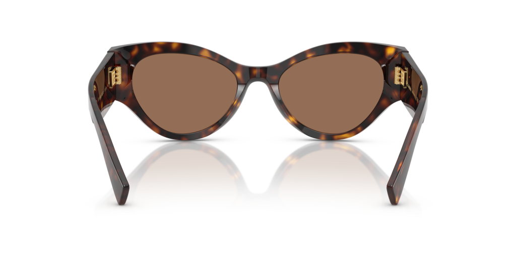 Dolce & Gabbana DG4480 502/73