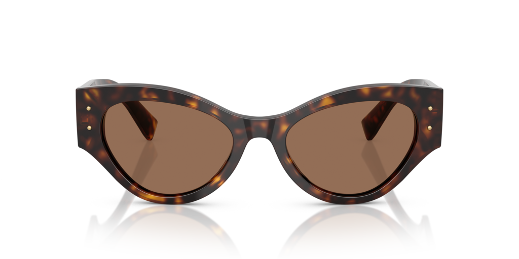 Dolce & Gabbana DG4480 502/73