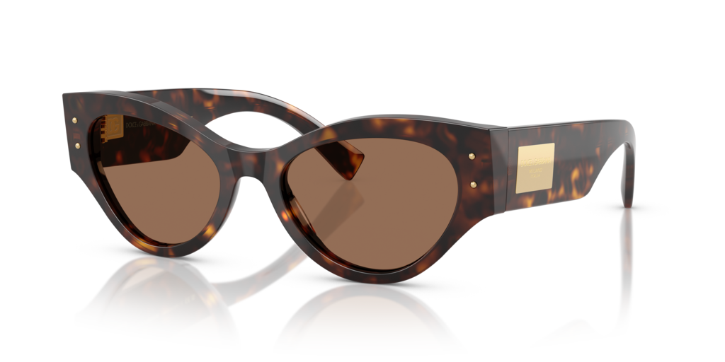 Dolce & Gabbana DG4480 502/73 53 Güneş Gözlükleri