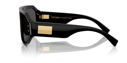 Dolce & Gabbana DG4481 501/87