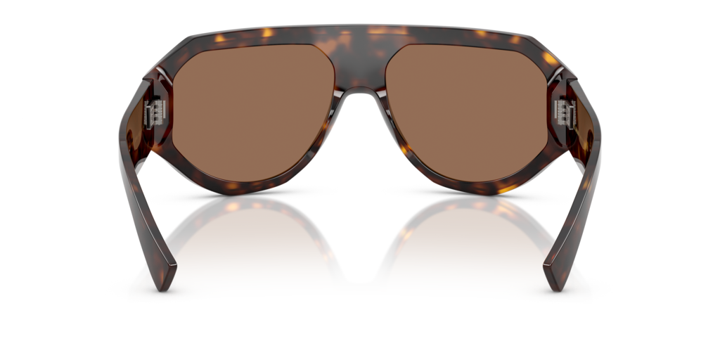 Dolce & Gabbana DG4481 502/73