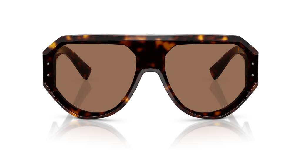 Dolce & Gabbana DG4481 502/73
