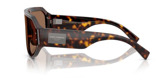 Dolce & Gabbana DG4481 502/73