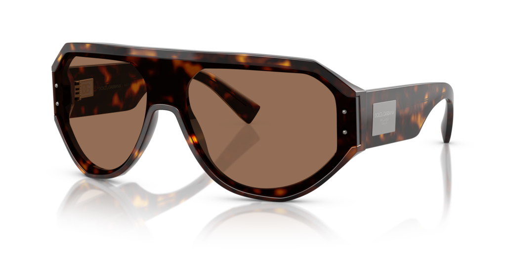Dolce & Gabbana DG4481 502/73 - 47