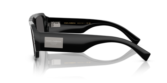 Dolce & Gabbana DG4482 501/87