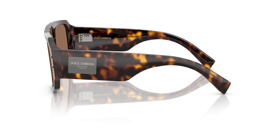 Dolce & Gabbana DG4482 502/73