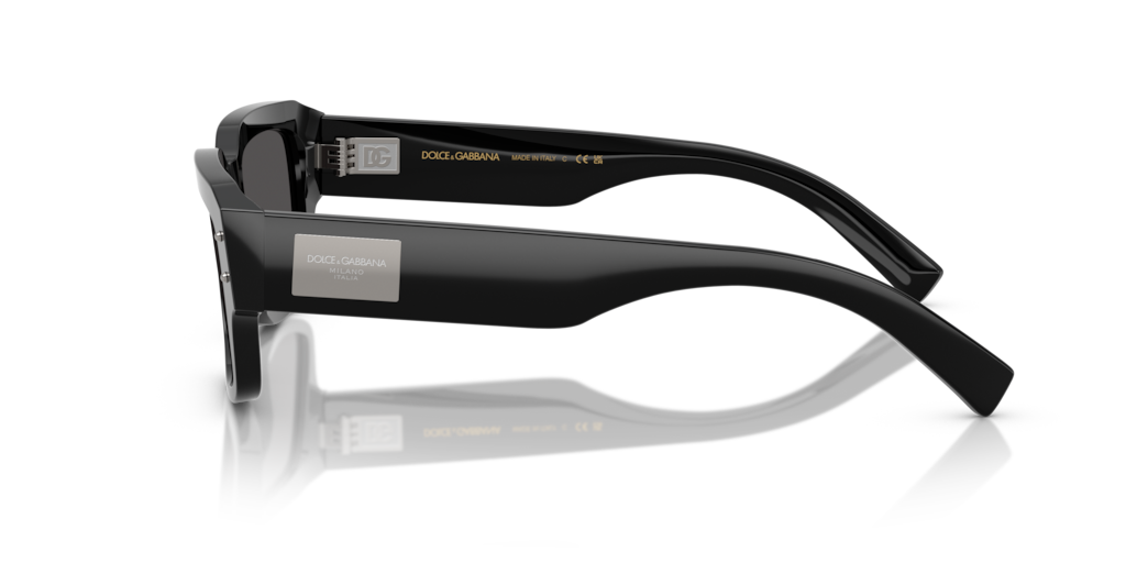 Dolce & Gabbana DG4483 501/87