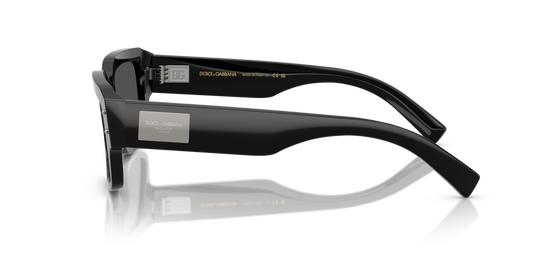 Dolce & Gabbana DG4483 501/87