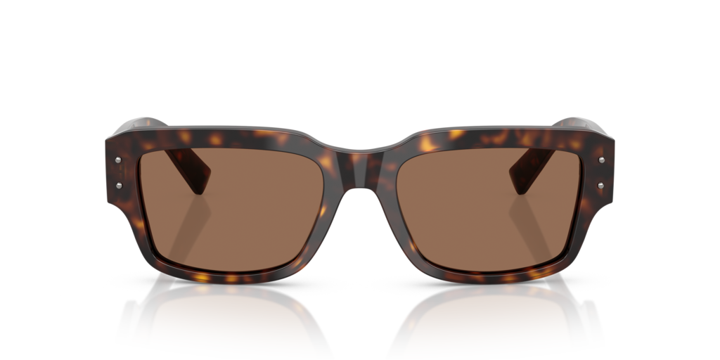 Dolce & Gabbana DG4483 502/73 - 54