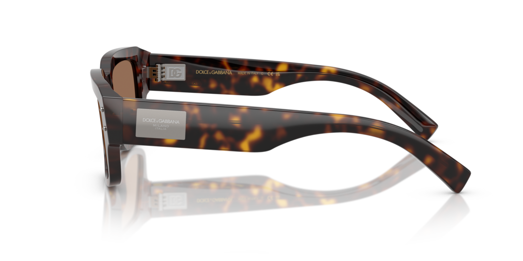 Dolce & Gabbana DG4483 502/73