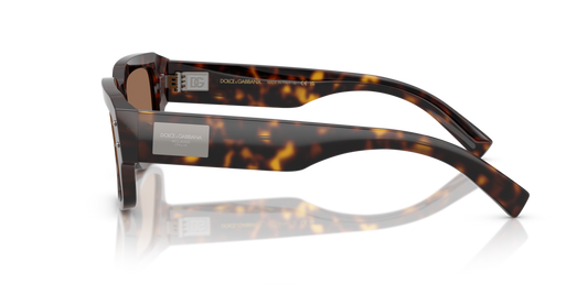 Dolce & Gabbana DG4483 502/73