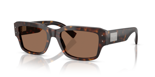 Dolce & Gabbana DG4483