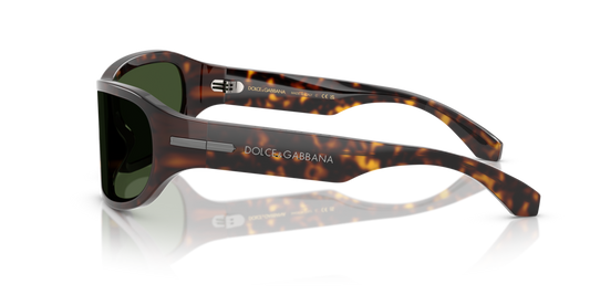 Dolce & Gabbana DG4486 502/71