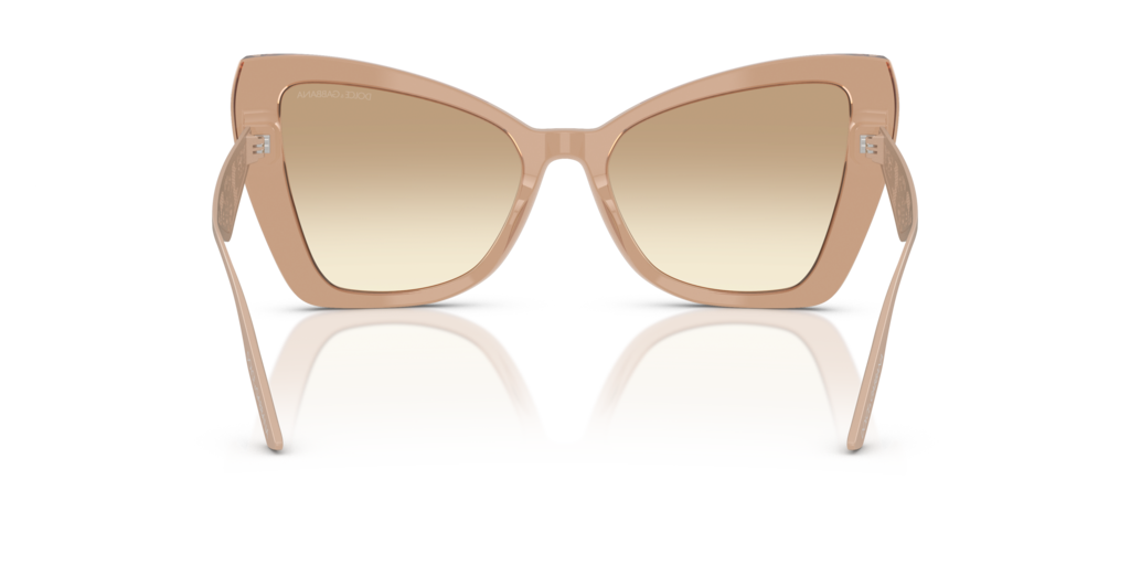 Dolce & Gabbana DG4489 343213