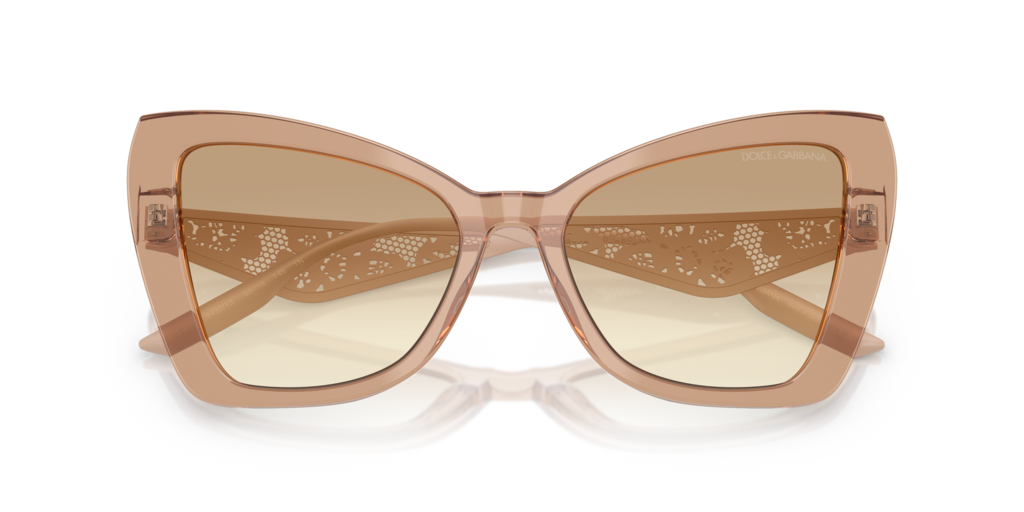 Dolce & Gabbana DG4489 343213