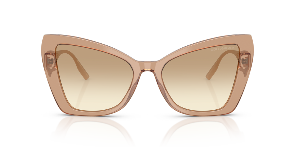 Dolce & Gabbana DG4489 343213