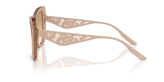 Dolce & Gabbana DG4489 343213