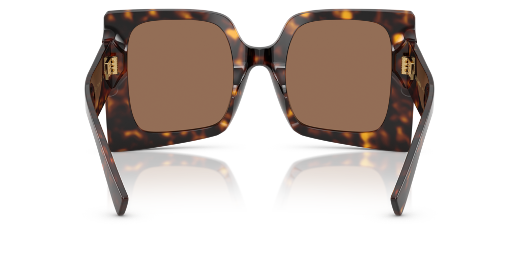 Dolce & Gabbana DG4490 502/73 - 53