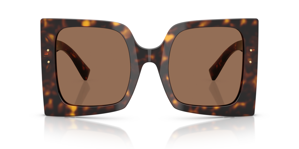 Dolce & Gabbana DG4490 502/73 - 53