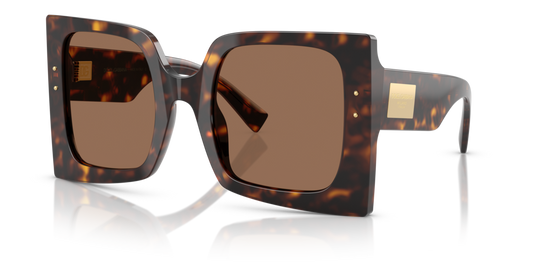 Dolce & Gabbana DG4490 502/73 - 53