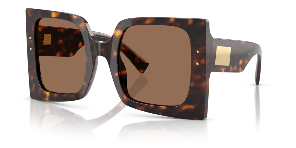 Dolce & Gabbana DG4490 502/73 - 53
