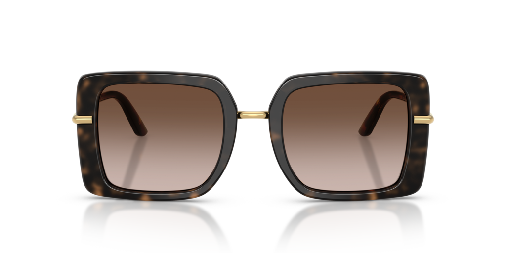 Dolce & Gabbana DG4491 321713
