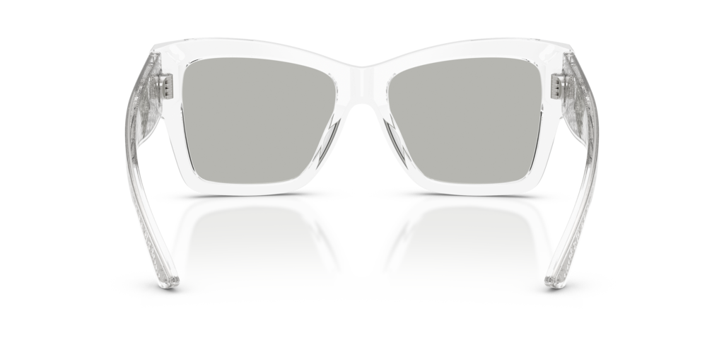 Dolce & Gabbana DG4493 31338V