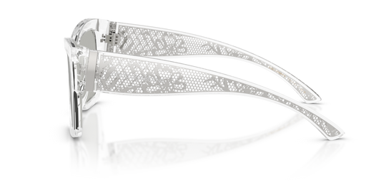 Dolce & Gabbana DG4493 31338V