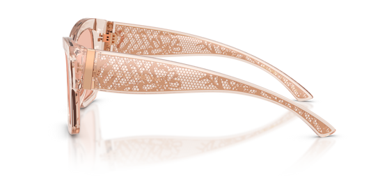 Dolce & Gabbana DG4493 314884