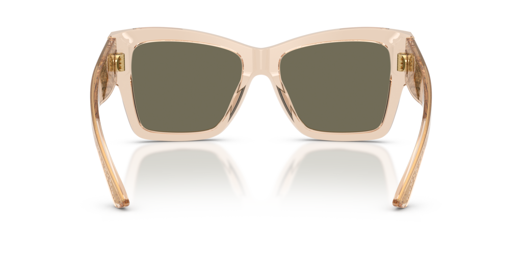Dolce & Gabbana DG4493 343203