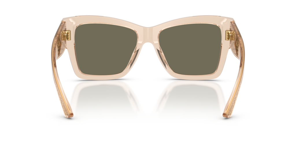 Dolce & Gabbana DG4493 343203