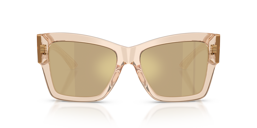 Dolce & Gabbana DG4493 343203