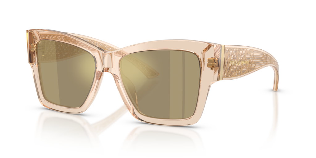 Dolce & Gabbana DG4493