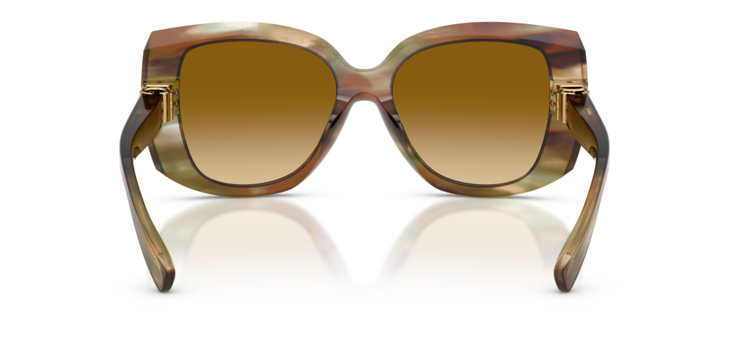 Dolce & Gabbana DG4495 34462L