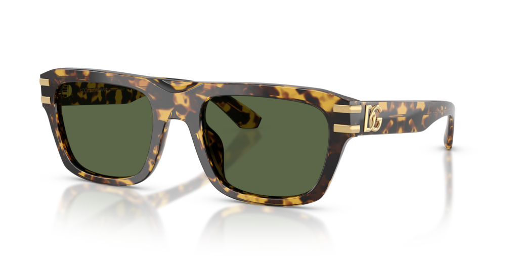 Dolce & Gabbana DG4496