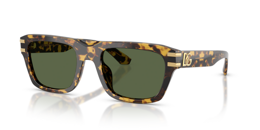 Dolce & Gabbana DG4496