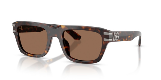 Dolce & Gabbana DG4496