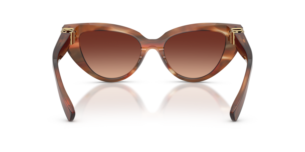 Dolce & Gabbana DG4497 322113