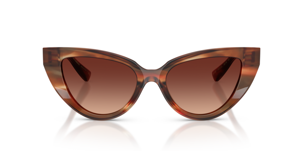 Dolce & Gabbana DG4497 322113