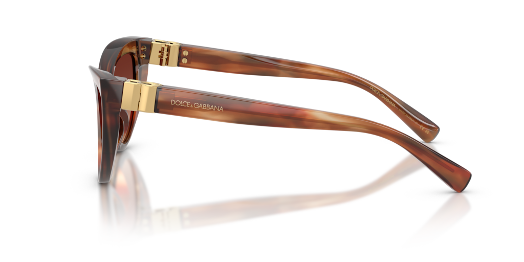 Dolce & Gabbana DG4497 322113