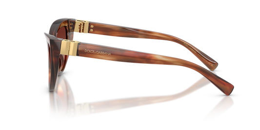 Dolce & Gabbana DG4497 322113