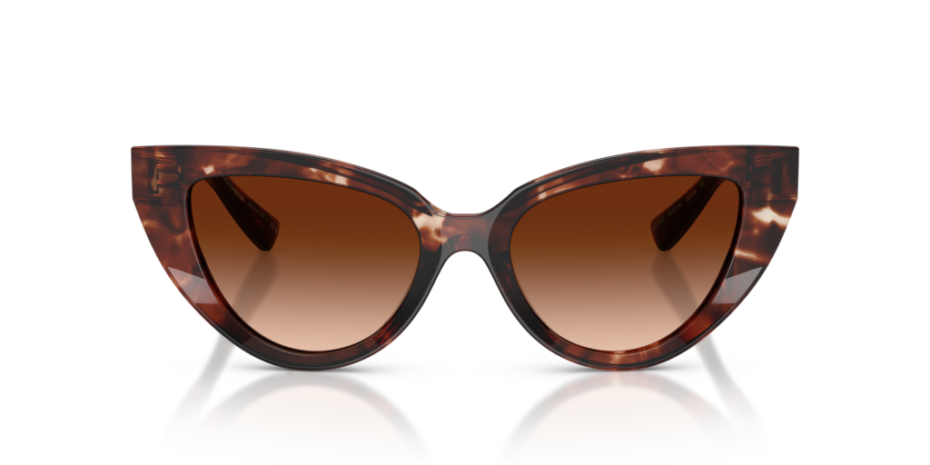 Dolce & Gabbana DG4497 322274