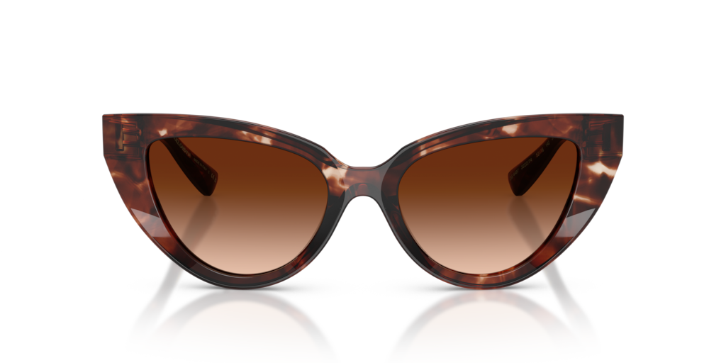 Dolce & Gabbana DG4497 322274