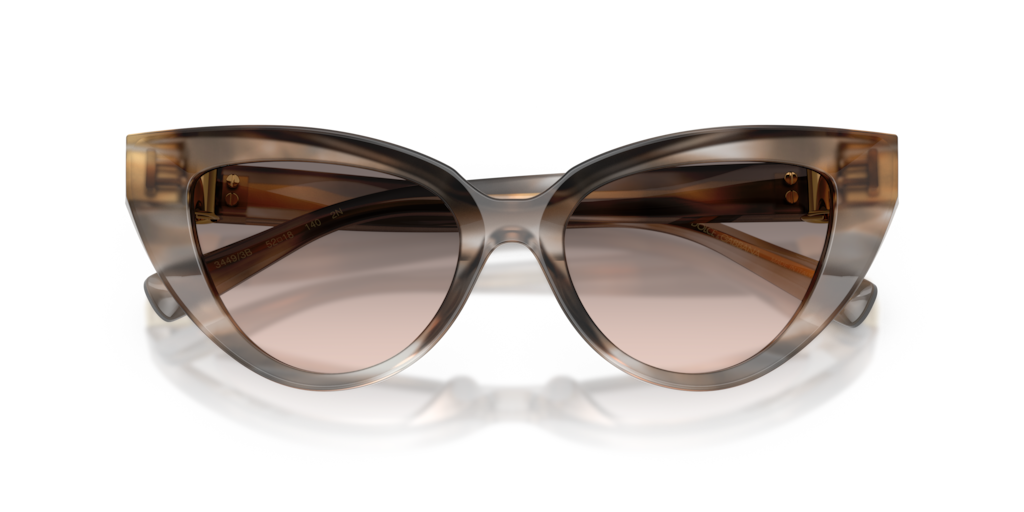 Dolce & Gabbana DG4497 34493B